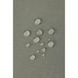 Комбинезон демисезонный Softshell Reima Nurmes, 5100007A-8920, 2 года (92 см), 2 года (92 см)