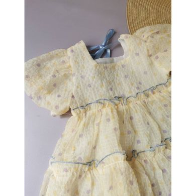 Ошатне плаття дівчинці CHB-10003, CHB-10003, 100 см, 3 роки